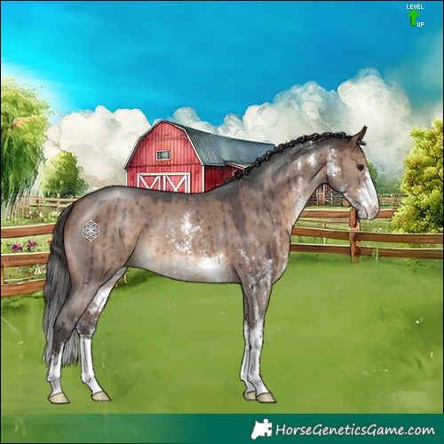 Horse Color:Brown Dun Sabino Brindle 