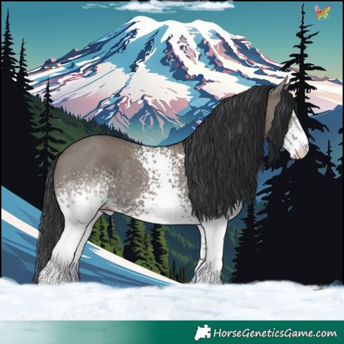 Horse Color:White Spotted Grullo 