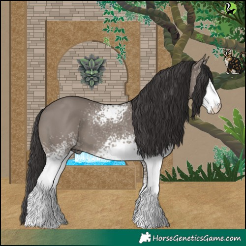 Horse Color:White Spotted Smoky Grullo 