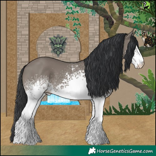 Horse Color:White Spotted Grullo 