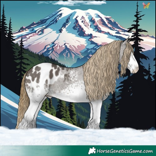 Horse Color:White Spotted Smoky Grullo Appaloosa 