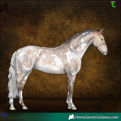 Horse Color:White Spotted Silver Bay Roan Dun Mushroom Brindle 