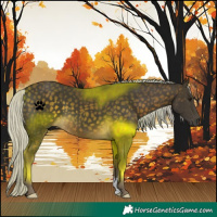 Horse Color:Silver Buckskin 