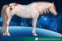Horse Color:Liver Chestnut Blanket