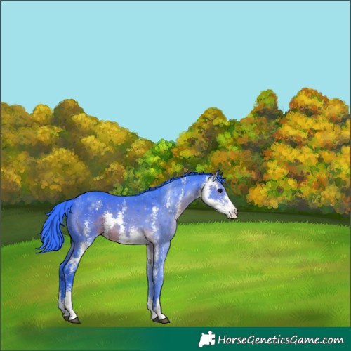 Horse Color:Watercolor Brown Sabino 