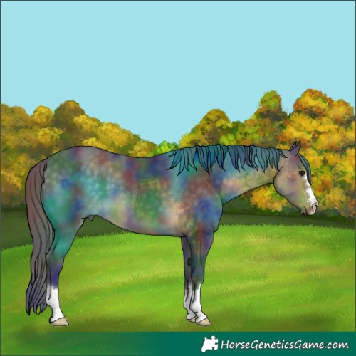 Horse Color:Nacre Buckskin 