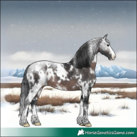 Horse Color:Platinum White Spotted Brown 