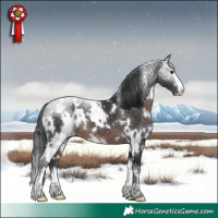 Horse Color:Platinum White Spotted Brown 