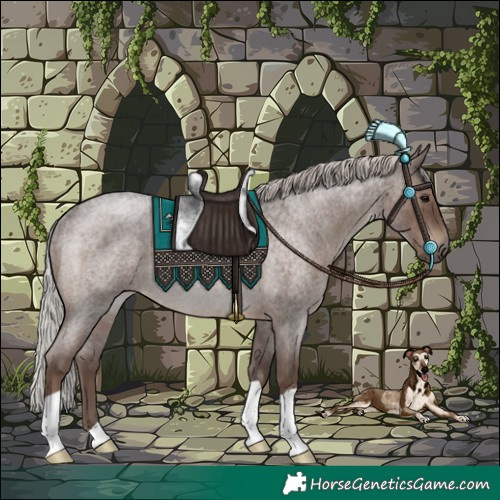 Horse Color:Silver Blue Roan Rabicano 