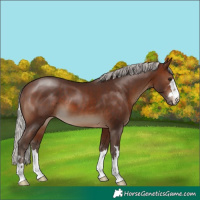 Horse Color:Silver Brown