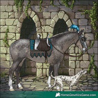 Horse Color:Silver Smoky Black Rabicano 
