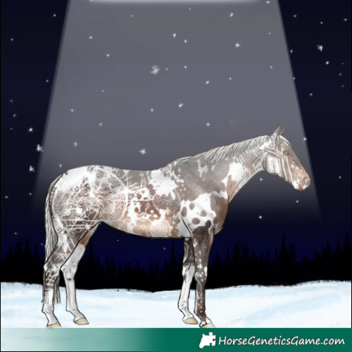 Horse Color:White Spotted Silver Brown Varnish