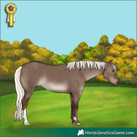 Horse Color:Liver Red Dun Mushroom 