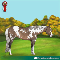 Horse Color:White Spotted Silver Brown Dun