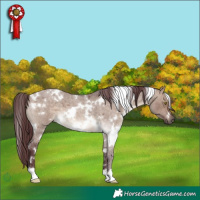 Horse Color:White Spotted Chocolate Brown Roan Dun 