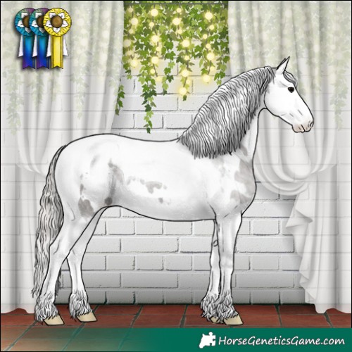 Horse Color:White Spotted Silver Black Splash Tobiano 