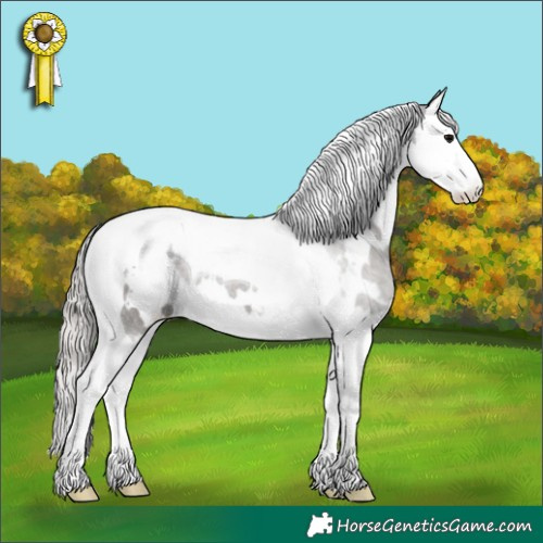 Horse Color:White Spotted Silver Black Splash Tobiano 