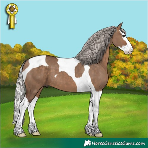 Horse Color:Silver Brown Dun Splash Tobiano 