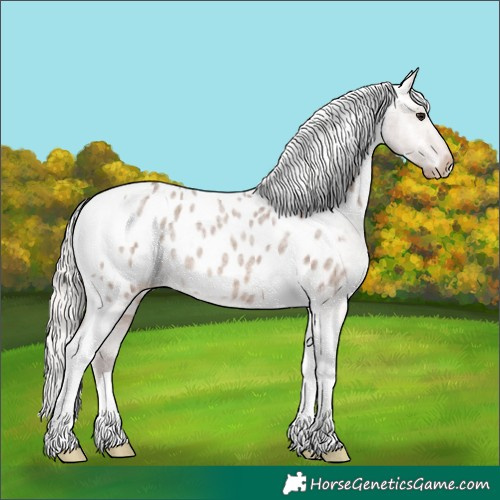 Horse Color:Silver Brown Roan Dun Tobiano Blanket Rabicano 