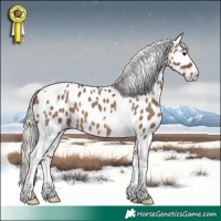 Horse Color:Silver Brown Dun Tobiano Near Leopard