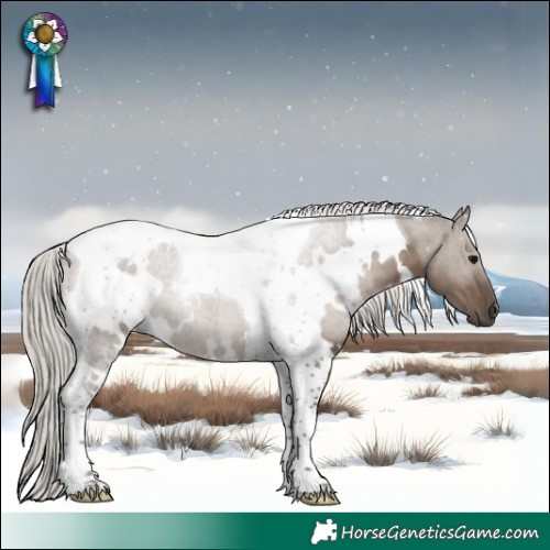 Horse Color:White Spotted Silver Grullo Tobiano 