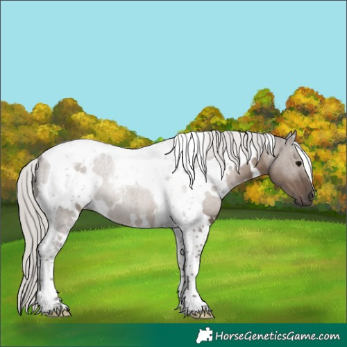 Horse Color:White Spotted Silver Grullo Tobiano 