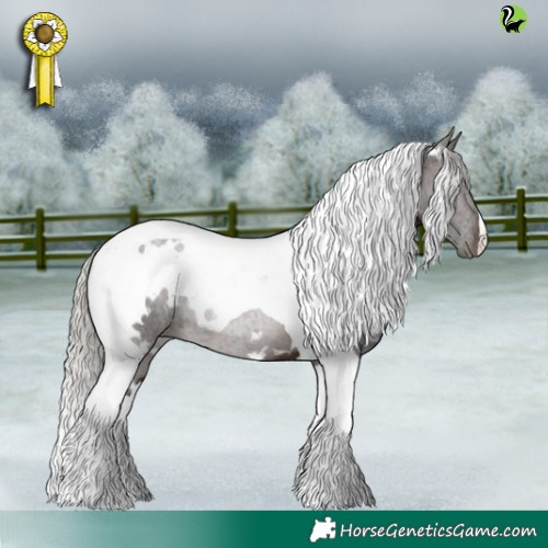 Horse Color:White Spotted Silver Brown Tobiano 
