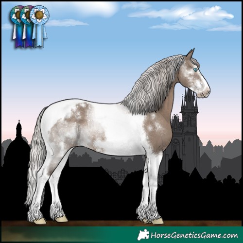 Horse Color:White Spotted Silver Grullo Splash Tobiano Frame 