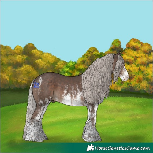 Horse Color:White Spotted Silver Black 