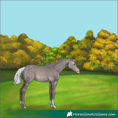 Horse Color:Gray Platinum Silver Perlino Tobiano 