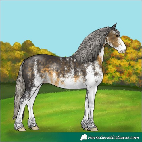 Horse Color:White Spotted Silver Buckskin