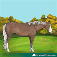 Horse Color:Silver Black Sabino 