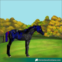 Horse Color:ERROR: UNKNOWN ANOMALY