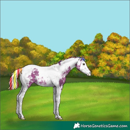 Horse Color:Painted White Spotted Silver Brown Dun Splash Tobiano