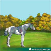 Horse Color:Nacre Watercolor Smoky Black Sabino Tobiano