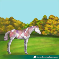 Horse Color:Nacre Silver Brown Dun Splash Tobiano 