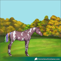 Horse Color:Painted White Spotted Silver Grullo Varnish 