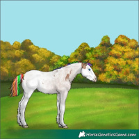 Horse Color:Painted Bay Splash Tobiano Varnish 