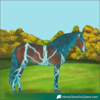 Horse Color:Thunderstruck Brown 