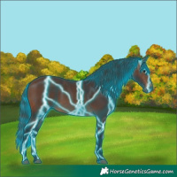 Horse Color:Thunderstruck Brown 