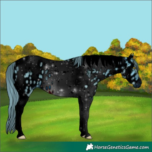 Horse Color:ERROR: UNKNOWN ANOMALY