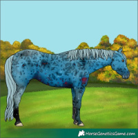 Horse Color:ERROR: UNKNOWN ANOMALY