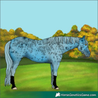 Horse Color:ERROR: UNKNOWN ANOMALY