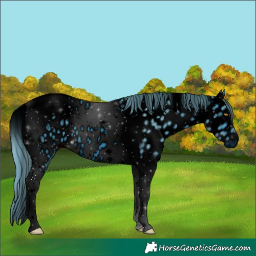 Horse Color:ERROR: UNKNOWN ANOMALY