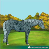 Horse Color:ERROR: UNKNOWN ANOMALY