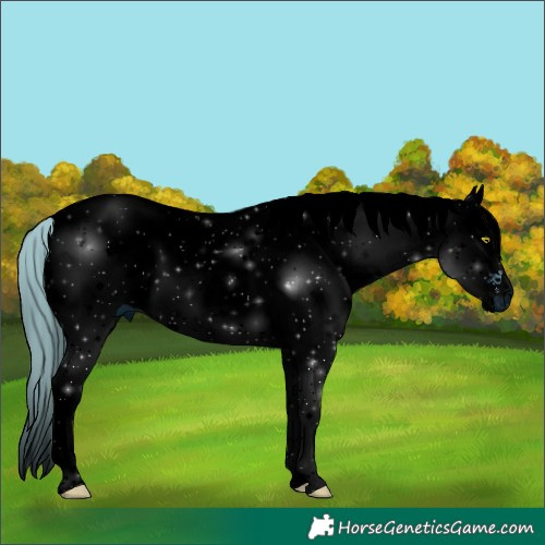 Horse Color:ERROR: UNKNOWN ANOMALY