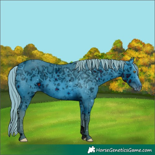 Horse Color:ERROR: UNKNOWN ANOMALY