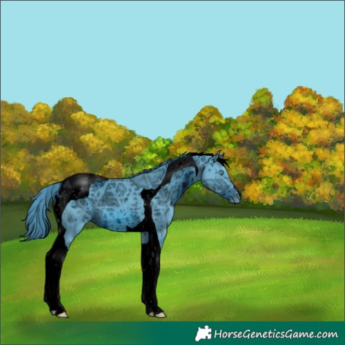 Horse Color:ERROR: UNKNOWN ANOMALY