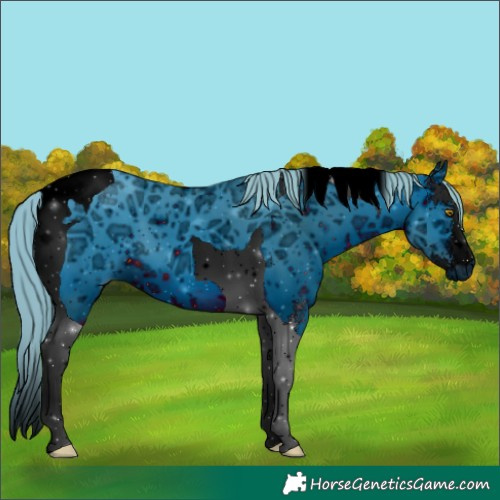 Horse Color:ERROR: UNKNOWN ANOMALY