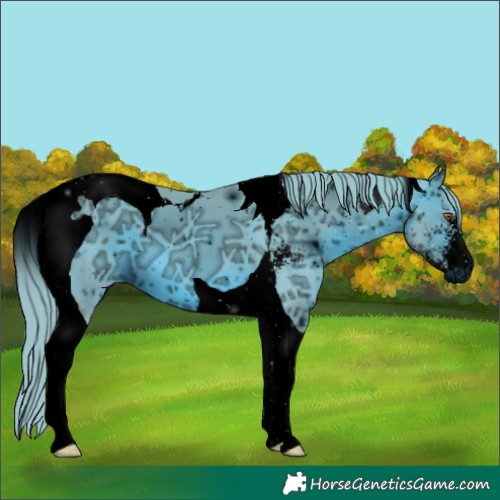 Horse Color:ERROR: UNKNOWN ANOMALY